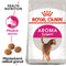 Royal Canin Feline Exigent Aroma 4kg – Krmivo pro vybíravé kočky preferující výraznou vůni, podpora chuti a zdraví, balení 4kg.