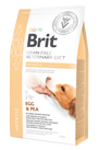 Brit VD Dog GF Hepatic 2kg