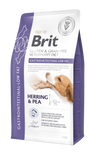 Brit VD Dog GF Gastrointestinal-Low fat 2kg