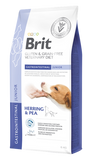 Brit VD Dog GF Gastrointestinal Junior 400g