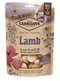 Carnilove Raw Freeze-Dried Snacks Lamb 60g – Mrazem sušené pamlsky pro psy s jehněčím masem, balení 60g