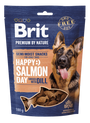 Brit Premium Dog by Nature SM Snacks Salmon 180g