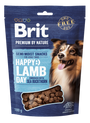 Brit Premium Dog by Nature SM Snacks Lamb 180g