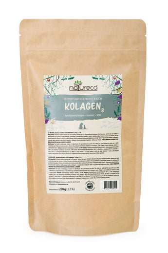 Kolagenový prášek NATURECA 3, sušený hydrolizovaný, balení 250g.
