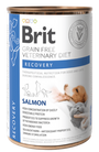 Brit VD Dog+Cat GF konz Recovery 400g