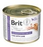 Brit VD Dog GF konz Gastrointestinal Low Fat 200g