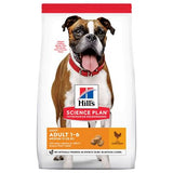 Hill's Can. SP Light Adult Medium Chicken 14kg – krmivo pro psy středních plemen s kontrolou hmotnosti, příchuť kuře, balení 14 kg.