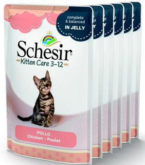 Schesir Cat kapsa Kitten kuře 6x85g - Kapsa pro koťata s kuřecím masem, plná bílkovin a ideální pro růst a vývoj koťat.