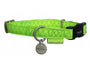 Obojek pes MAC LEATHER zelená 25mm/45-68cm