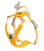 Postroj Hurtta Seeker medový 45-60cm