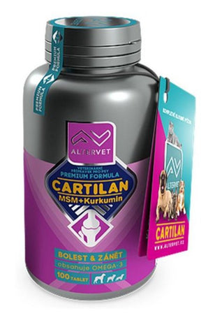 CARTILAN MSM+KURKUMIN 100tbl