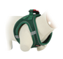 Postroj pes Síťový zelená L Zolux