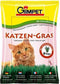GimCat tráva 100g – Čerstvá kočičí tráva pro podporu trávení a prevenci chlupových bezoárů, balení 100g