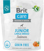 Brit Care Dog Grain-free Junior Large Breed 1kg