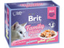 Brit Premium Cat D Fillets in Jelly Family Plate 12 x 85g