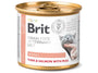Brit VD Cat GF konz Renal 200g