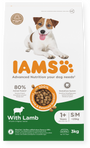 Iams Dog Adult Small&Medium Lamb 3kg