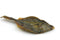Pochoutka ZEUS Lizard fish 300g - Sušená ryba, ideální pro výživu pleti a posílení imunitního systému.