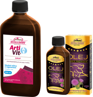 VITAR ArtiVit Sirup 500ml+ostrop.olej 200ml