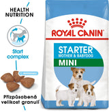 Royal Canin Mini Starter Mother&Babydog 8kg – Krmivo pro březí a kojící feny a štěňata, balení 8 kg.