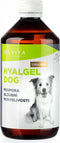 Hyalgel Dog Original, jablko, 500 ml, doplněk stravy pro zdravé klouby psů.