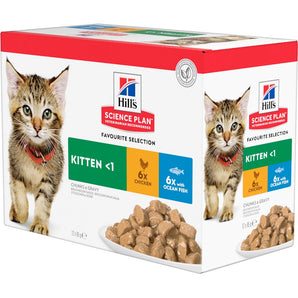Hill's Science Plan Feline Kitten Chicken + Ocean Fish 12 × 85 g – Krmivo pro koťata s kuřecím a mořskými rybami, balení 12 x 85g.