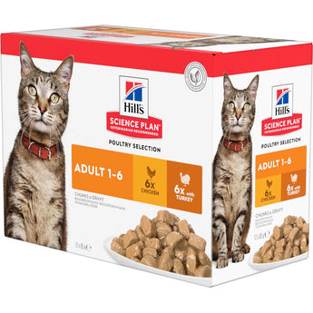 Hill's Science Plan Adult kuře & krůtí 12 x 85 g – Krmivo pro dospělé kočky s kuřetem a krůtou, balení 12 x 85 g.