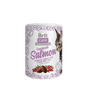 Brit Care Cat Snack Superfruits Salmon 100g