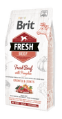 Brit Fresh Dog Beef & Pumpkin Puppy Large 2,5kg