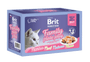 Brit Premium Cat D Fillets in Jelly Family Plate 1020g