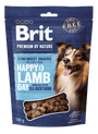 Brit Premium Dog by Nature SM Snacks Lamb 180g