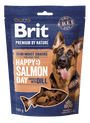 Brit Premium Dog by Nature SM Snacks Salmon 180g