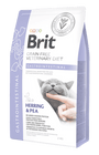 Brit VD Cat GF Gastrointestinal 2kg