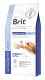 Brit VD Dog GF Gastrointestinal Junior 400g