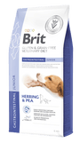 Brit VD Dog GF Gastrointestinal Junior 6kg
