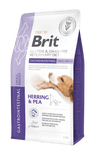 Brit VD Dog GF Gastrointestinal Small Breeds 2kg