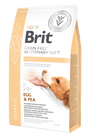 Brit VD Dog GF Hepatic 2kg