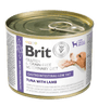 Brit VD Dog GF konz Gastrointestinal Low Fat 200g