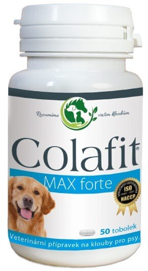 Colafit Max Forte na klouby pro psy 50tbl – VETSTOR 🐾