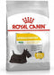 Royal Canin Mini Derma Comfort 3kg – Krmivo pro psy malých plemen s citlivou kůží, balení 3 kg.