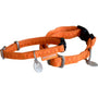 Obojek pes MAC LEATHER oranžová 10mm/20-30cm