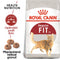 Royal Canin Feline Fit 32 4kg – Krmivo pro aktivní dospělé kočky, podpora vitality a zdraví, balení 4kg.