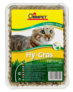 GimPet Tráva Cat Hy Gras 150g