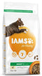 Iams Cat Adult Chicken 2 kg – Krmivo pro dospělé kočky s kuřecím masem, balení 2 kg.