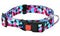 Obojek nylon GEO modrý M 40-55cm/20mm – Modrý nylonový obojek GEO pro psy, velikost M, 40-55 cm, šířka 20 mm.