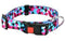 Obojek nylon GEO modrý S 30-45cm/15mm – Nylonový obojek GEO, modrý, pro psy, velikost S, 30-45 cm, šířka 15 mm.