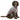 Pláštěnka pro psy PVC 55cm - VETSTOR 🐾