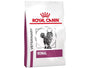 Royal Canin VD Feline Renal 2kg