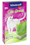 Vitakraft Cat Grass, tráva, 120 g, přírodní tráva pro kočky.