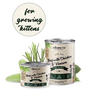 Chicopee Kitten Paté Pot Beef with Chicken 400g – Masová paštika pro koťata s hovězím a kuřecím masem, balení 400g.